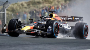 Max Verstappen on pole for Dutch Grand Prix