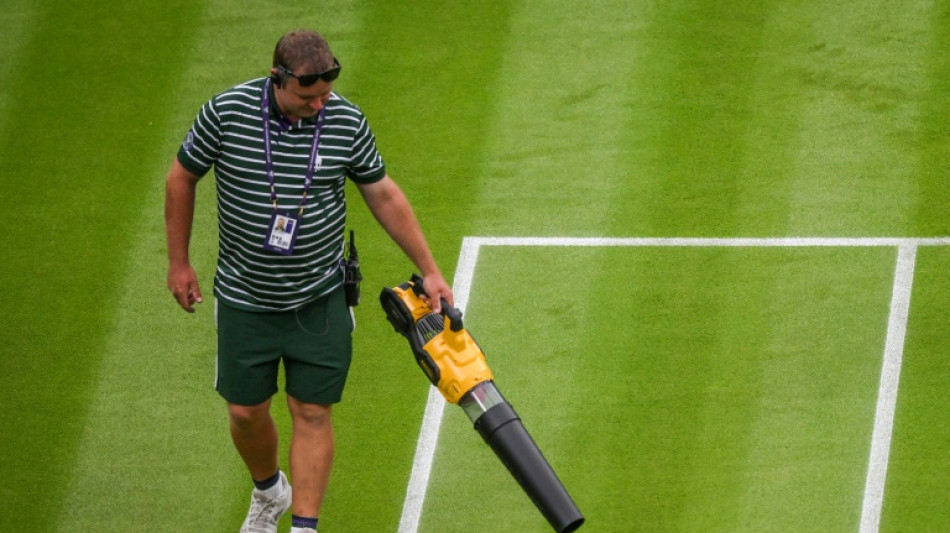 Wimbledon chiefs play down fears over damp grass on Centre Court