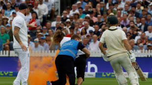 Climate activists disrupt second Ashes Test