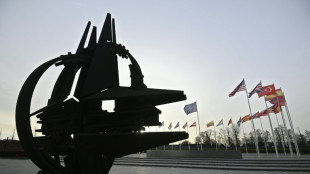 Schweden und Finnland beraten mit der T&uuml;rkei &uuml;ber Nato-Beitritt