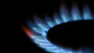 Bericht: Gasverbrauch in Deutschland im Winter um fast neun Prozent gestiegen