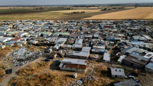 Farm workers wilt in sweltering Italian shanty town