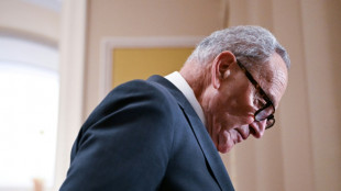 Los dem&oacute;cratas denuncian "intimidaci&oacute;n" de Trump por exigencias sobre el padr&oacute;n electoral