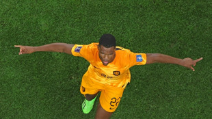 Dutch flier Dumfries dazzles ahead of Argentina World Cup showdown