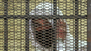 Muere un magnate egipcio condenado a tres a&ntilde;os de c&aacute;rcel por tr&aacute;fico de menores