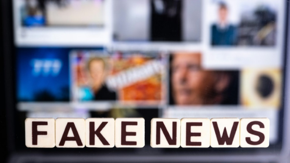 Harcel&eacute;s, menac&eacute;s... Les tourments des fact-checkeurs dans le monde