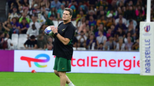 Better be a Bok than Irish, says Erasmus of quarter-final scenario