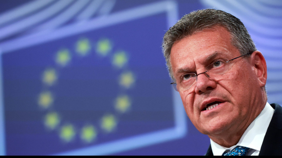 Ue, la prossima settimana colloquio con Cina su terre rare