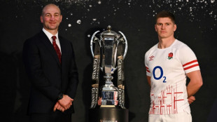 Playing regrets the spur for new England coach Borthwick 