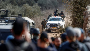 Israel detiene a un candidato al Congreso de EEUU durante la cosecha de aceitunas en Cisjordania

