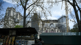 Paris riverside booksellers refuse to budge for Olympic Games