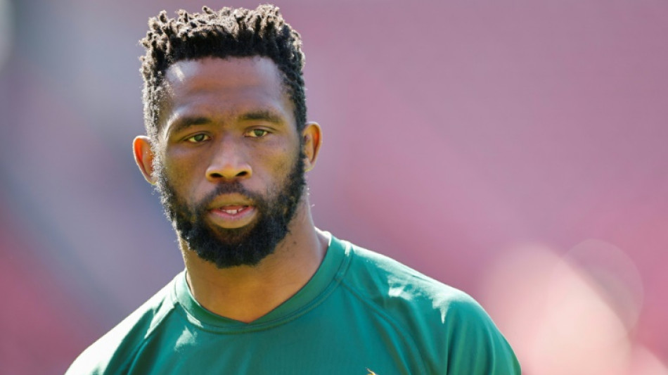 Kolisi returns as Springboks thrash Wales in Rugby World Cup warm-up