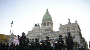 R&eacute;formes en Argentine: le d&eacute;bat parlementaire bouscul&eacute; par la rue