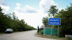Juíza ordena desmantelamento da 'Alcatraz dos Jacarés' em 60 dias