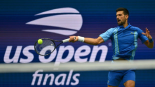 Djokovic downs Medvedev at US Open to win record-tying 24th Slam 