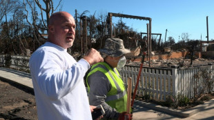 Voluntarios limpian de escombros la exclusiva Palisades tras incendios de Los &Aacute;ngeles