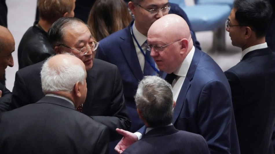 El Consejo de Seguridad de la ONU rechaza con el veto de EEUU una resoluci&oacute;n sobre el conflicto Israel-Ham&aacute;s