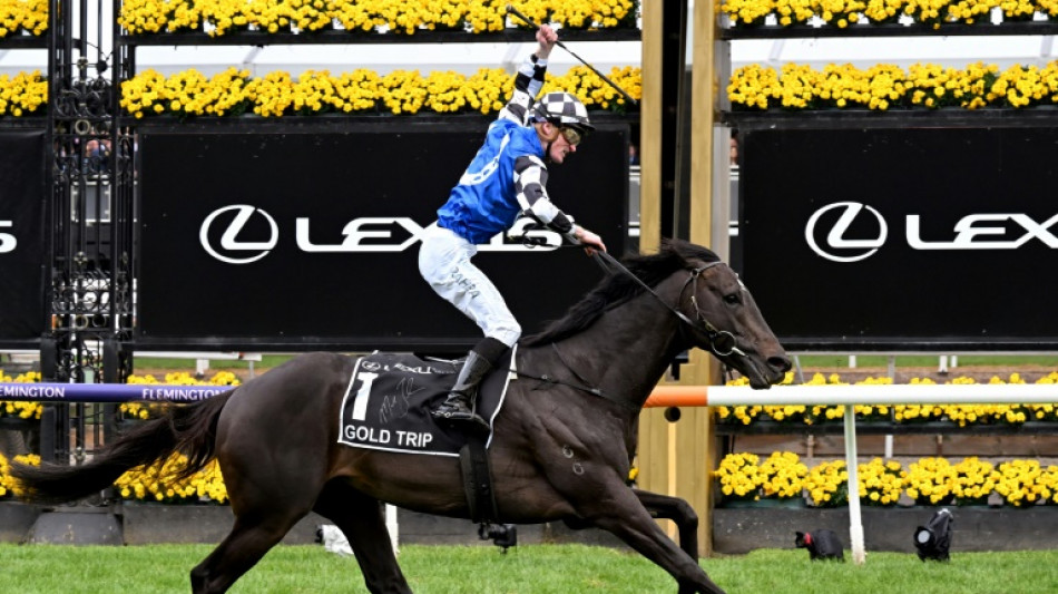 Gold Trip wins horse racing's Melbourne Cup as favourite fourth