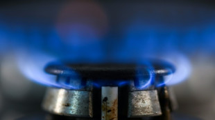 Netzagentur-Chef M&uuml;ller zeigt sich skeptisch &uuml;ber Gasspeicher-Ziele