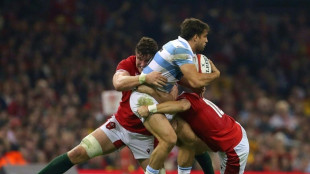 Argentine Mallia probed after collision with Springbok Williams