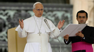 El papa Le&oacute;n XIV celebrar&aacute; una misa en la Sagrada Familia de Barcelona el 10 de junio
