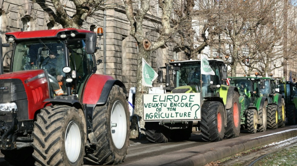 Parlamento Europeu adota salvaguardas para agricultores em acordo com Mercosul