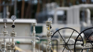 Bundestag befasst sich in Aktueller Stunde mit Schweriner Klimastiftung