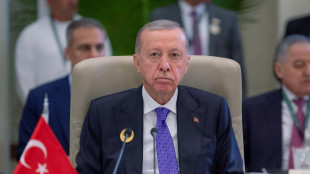 Erdogan, 'Damasco sar&agrave; il prossimo obiettivo dei ribelli'