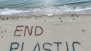 Verhandlungsleiter: Gespr&auml;che &uuml;ber UN-Plastikabkommen bisher zu schleppend