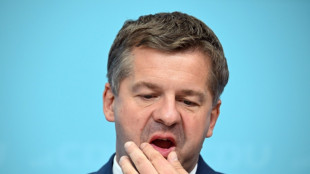 Sachsen-Anhalt: Ministerpr&auml;sident Schulze sieht Regierungsauftrag bei AfD