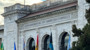 Ecuador acusa en la OEA a M&eacute;xico de socavar el asilo y promover "la impunidad"