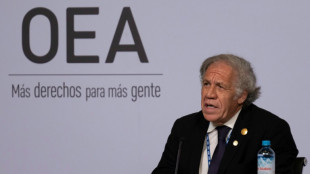 La OEA condena "en&eacute;rgicamente" el asalto a embajada mexicana en Quito