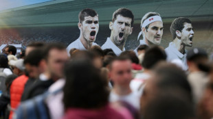 Wimbledon boosts security over climate protest fears