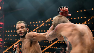 Saudi fund grabs stake in US mixed martial arts league