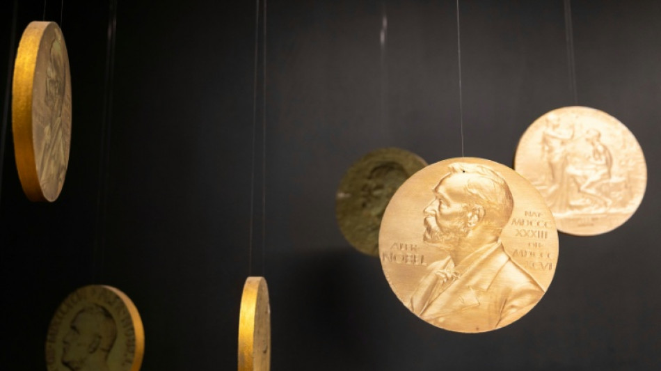Nobel institute to probe possible leaks over peace prize