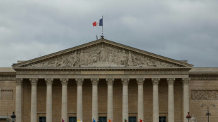 Macron urge a los franceses a tomar la "decisi&oacute;n correcta" tras el rev&eacute;s en las europeas