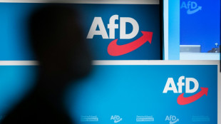 Gericht: Verbot von Brandenburger AfD-Wahlspot war rechtens