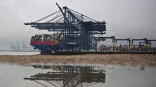 Achtt&auml;giger Streik in Gro&szlig;britanniens gr&ouml;&szlig;tem Containerhafen geplant