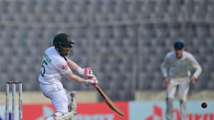 Mushfiqur ton, bowling attack gives Bangladesh edge in Ireland Test