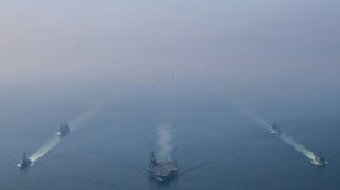 US-Drohungen gegen Teheran: Serbien und Schweden rufen zu Ausreise aus Iran auf