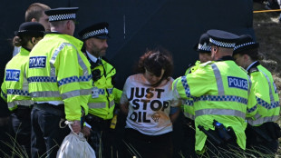 Climate activists disrupt British Open