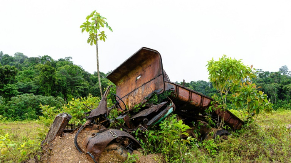 Loi simplification: un article sur la réforme du code minier inquiète les écologistes en Guyane
