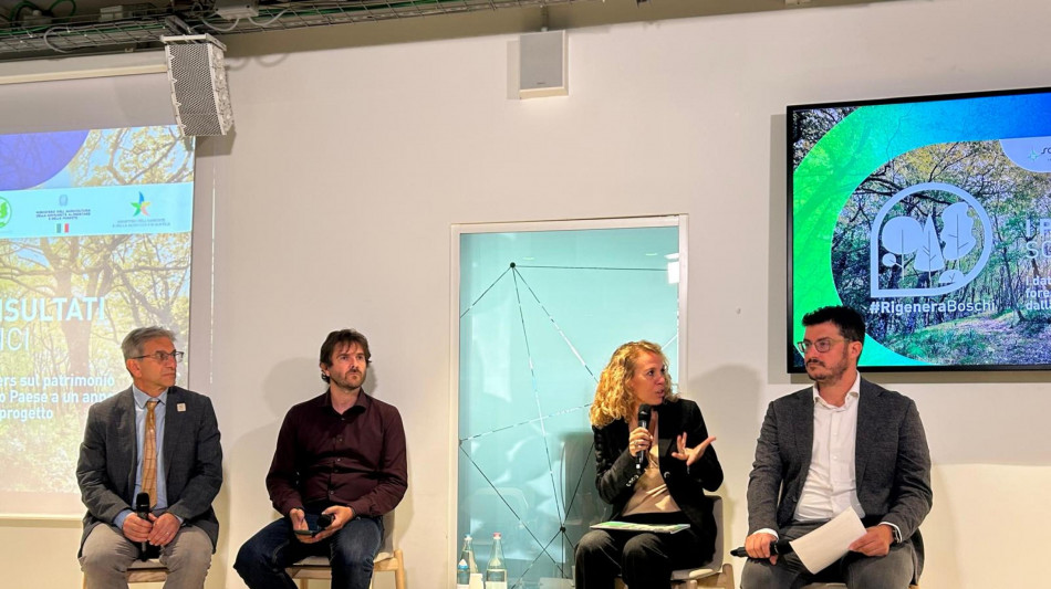 Nei boschi gestiti gli alberi crescono quasi del 43% in più