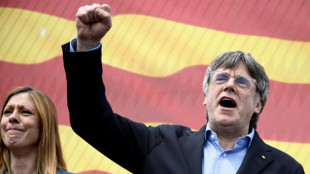 La at&iacute;pica campa&ntilde;a desde Francia del independentista catal&aacute;n Puigdemont