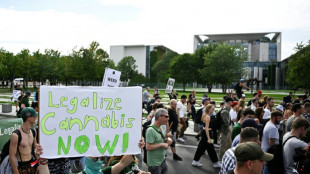 German govt okays 'controlled' use of cannabis