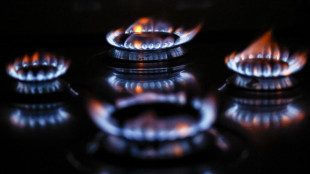 Il prezzo del gas in rialzo a 74,86 euro al megawattora