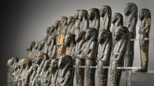 All'Egizio ritorna Nefertari, il nuovo allestimento da venerd&igrave;