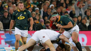 Former Springbok Van der Merwe joins Bulls after leaving Sale Sharks