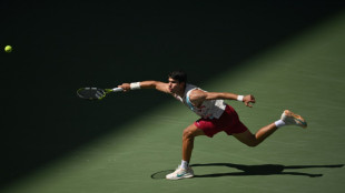 Medvedev, Shelton determined to play US Open spoilers
