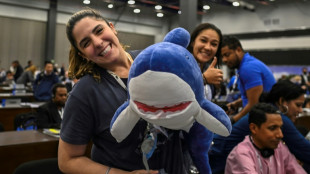 D&eacute;cision "historique" attendue en faveur des requins au 19e sommet des esp&egrave;ces menac&eacute;es